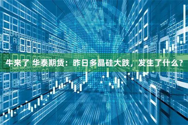 牛来了 华泰期货：昨日多晶硅大跌，发生了什么？